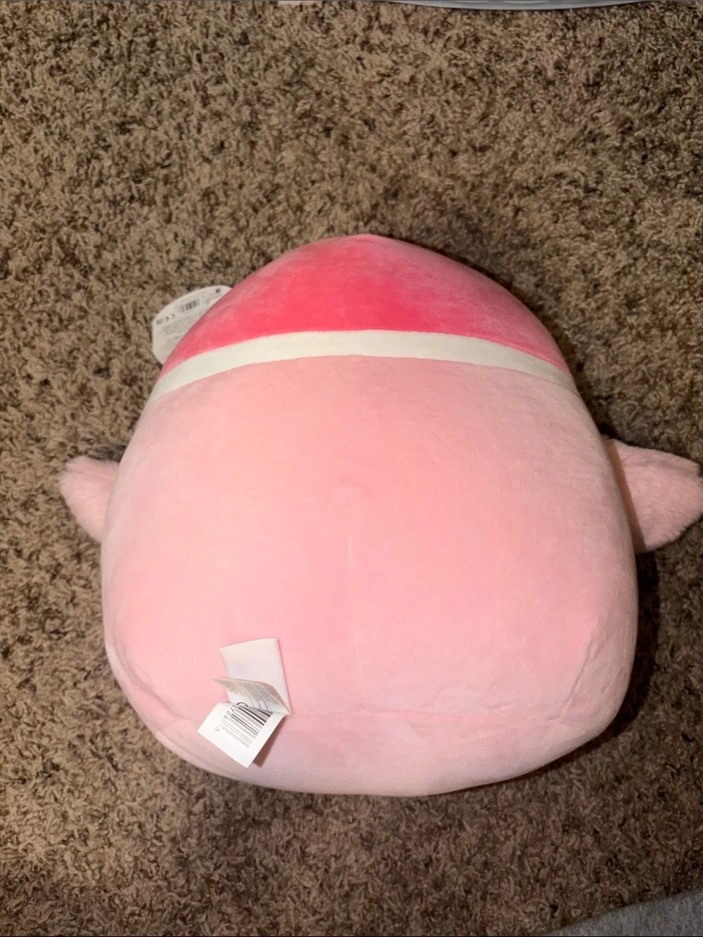 Sonja Sakura Pink Duck Squishmallow First To Market 11” NWT